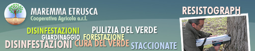 Maremma Etrusca
